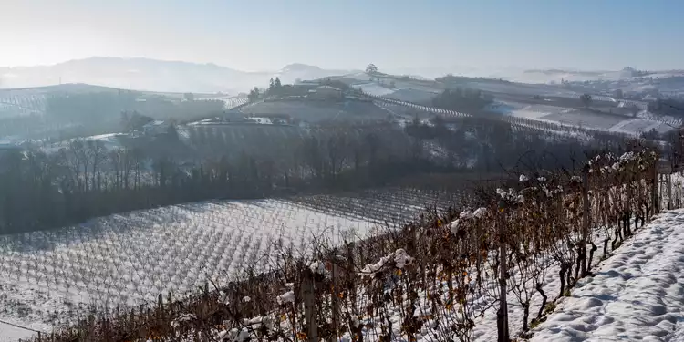 Panorama invernale dalla cascina